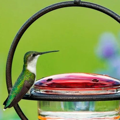 🎉 Last Day Promotion-70% OFF 🎉Hummble Slim Hummingbird Feeder